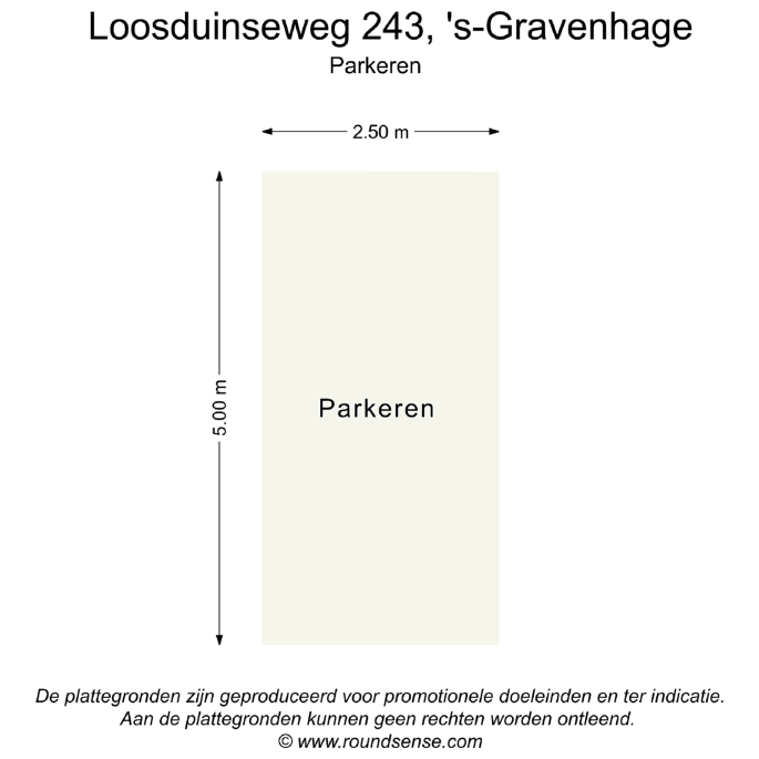 Loosduinseweg 243, 2571 AD, 's-Gravenhage