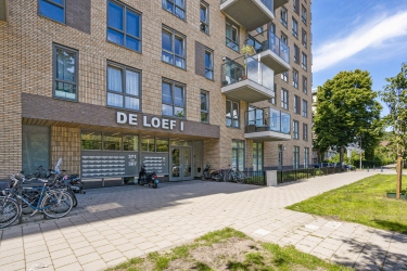 Loevesteinlaan 385 c, 2533 AM, 's-Gravenhage