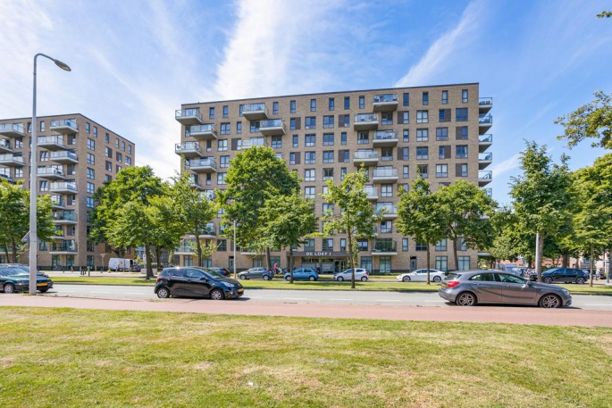Loevesteinlaan 391 D, 2533 AM, 's-Gravenhage