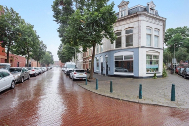 Rozenburgstraat 133, 2512 SR, 's-Gravenhage